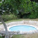 Fleur Bleue & The Timber Frame 4 119451295