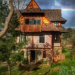 Fleur Bleue & The Timber Frame 1 323198693